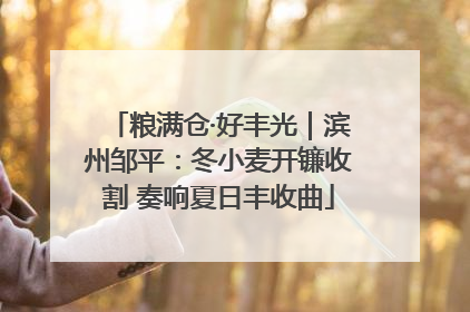 粮满仓·好丰光｜滨州邹平：冬小麦开镰收割 奏响夏日丰收曲