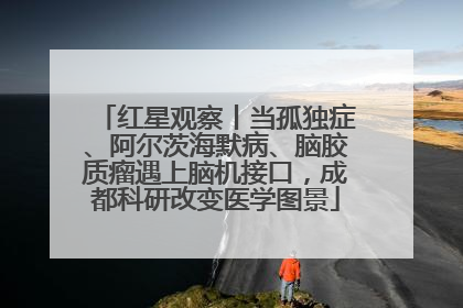 红星观察丨当孤独症、阿尔茨海默病、脑胶质瘤遇上脑机接口，成都科研改变医学图景