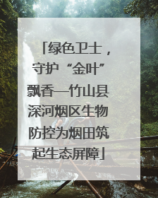 绿色卫士，守护“金叶”飘香—竹山县深河烟区生物防控为烟田筑起生态屏障