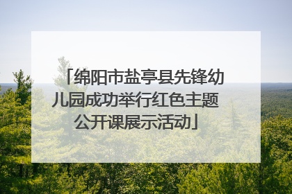 绵阳市盐亭县先锋幼儿园成功举行红色主题公开课展示活动