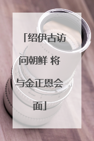 绍伊古访问朝鲜 将与金正恩会面