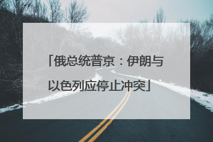 俄总统普京：伊朗与以色列应停止冲突