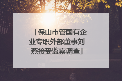 保山市管国有企业专职外部董事刘燕接受监察调查