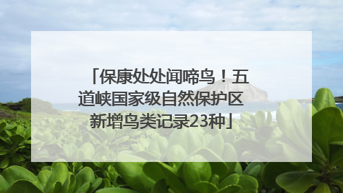 保康处处闻啼鸟！五道峡国家级自然保护区新增鸟类记录23种