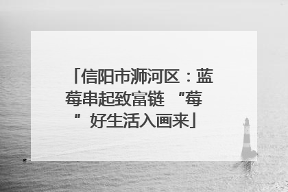 信阳市浉河区：蓝莓串起致富链 “莓”好生活入画来