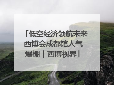 低空经济领航未来 西博会成都馆人气爆棚｜西博视界