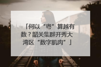 何以“粤”算越有数？韶关集群开秀大湾区“数字肌肉”