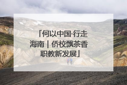 何以中国·行走海南｜侨校飘茶香 职教新发展