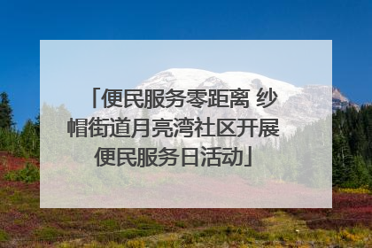 便民服务零距离 纱帽街道月亮湾社区开展便民服务日活动