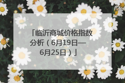 临沂商城价格指数分析（6月19日—6月25日）