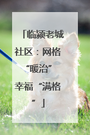 临颍老城社区：网格“暖治” 幸福“满格”