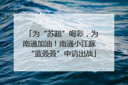 为“苏超”喝彩，为南通加油！南通小江豚“蓝叒叒”申请出战