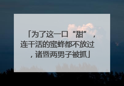 为了这一口“甜”，连干活的蜜蜂都不放过，诸暨两男子被抓