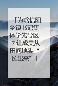 为啥信阳乡镇书记集体学先导区？让成果从田间地头“长出来”
