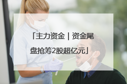 主力资金｜资金尾盘抢筹2股超亿元