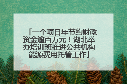 一个项目年节约财政资金逾百万元！湖北举办培训班推进公共机构能源费用托管工作