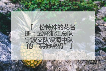 一份特殊的花名册：武警浙江总队宁波支队镇海中队的“精神密码”