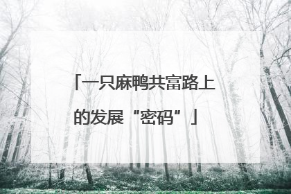 一只麻鸭共富路上的发展“密码”