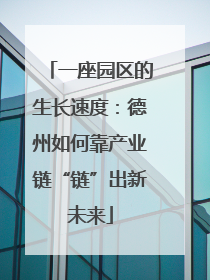 一座园区的生长速度：德州如何靠产业链“链”出新未来