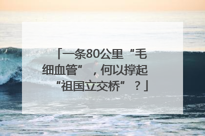 一条80公里“毛细血管”，何以撑起“祖国立交桥”？