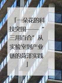 一朵花的科技突围——“三用百合”从实验室到产业链的菏泽实践