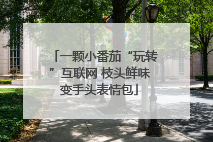 一颗小番茄“玩转”互联网 枝头鲜味变手头表情包