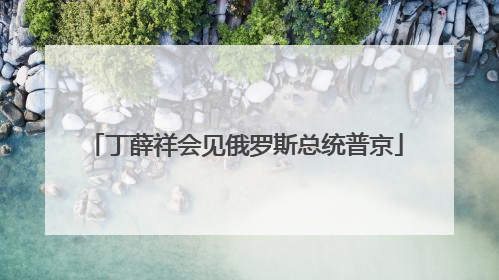 丁薛祥会见俄罗斯总统普京