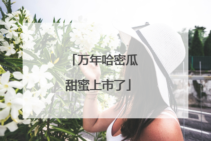 万年哈密瓜甜蜜上市了
