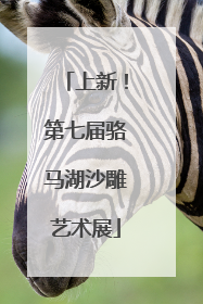上新！第七届骆马湖沙雕艺术展
