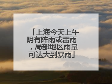 上海今天上午阴有阵雨或雷雨，局部地区雨量可达大到暴雨