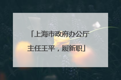 上海市政府办公厅主任王平，履新职