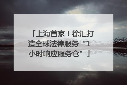 上海首家！徐汇打造全球法律服务“1小时响应服务仓”