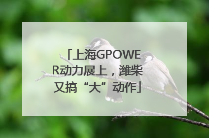 上海GPOWER动力展上，潍柴又搞“大”动作