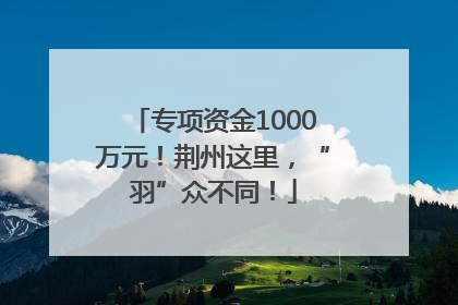 专项资金1000万元！荆州这里，“羽”众不同！