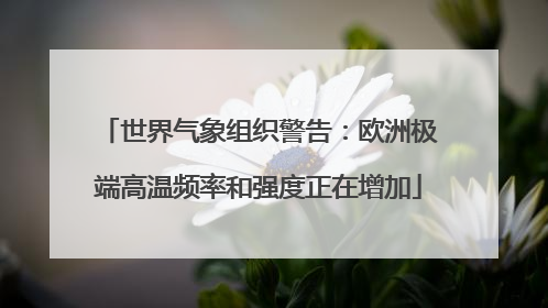 世界气象组织警告：欧洲极端高温频率和强度正在增加