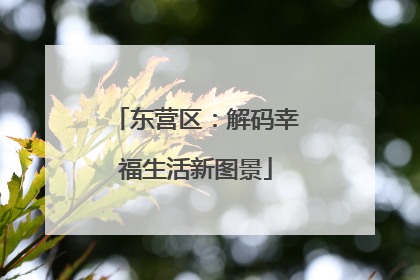 东营区：解码幸福生活新图景