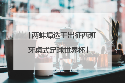 两蚌埠选手出征西班牙桌式足球世界杯