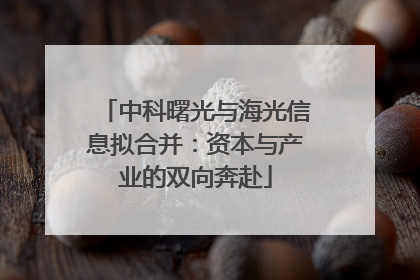 中科曙光与海光信息拟合并：资本与产业的双向奔赴