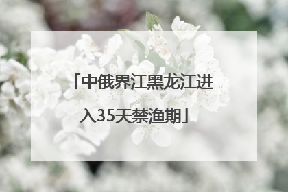 中俄界江黑龙江进入35天禁渔期