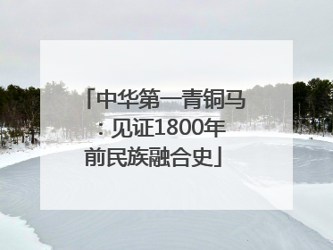 中华第一青铜马：见证1800年前民族融合史