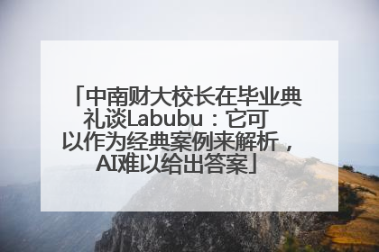 中南财大校长在毕业典礼谈Labubu：它可以作为经典案例来解析，AI难以给出答案