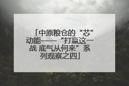 中原粮仓的“芯”动能——“打赢这一战 底气从何来”系列观察之四