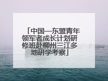 中国—东盟青年领军者成长计划研修班赴柳州三江多地研学考察