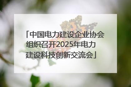 中国电力建设企业协会组织召开2025年电力建设科技创新交流会