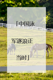 中国泳军逐浪正当时