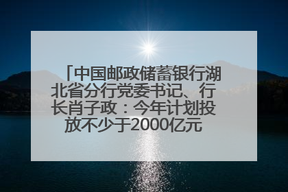 中国邮政储蓄银行湖北省分行党委书记、行长肖子政：今年计划投放不少于2000亿元支持支点建设
