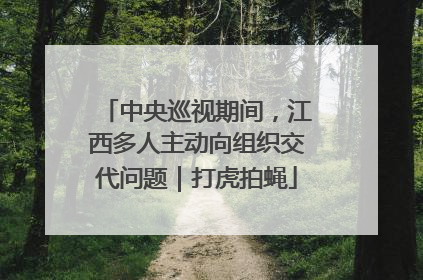 中央巡视期间，江西多人主动向组织交代问题｜打虎拍蝇