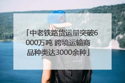 中老铁路货运量突破6000万吨 跨境运输商品种类达3000余种