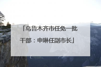 乌鲁木齐市任免一批干部：申琳任副市长