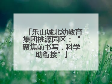 乐山城北幼教育集团桃源园区：“聚焦前书写，科学助衔接”